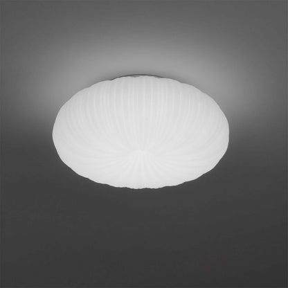 Lámpara de techo moderna - Iluminación elegante para el hogar