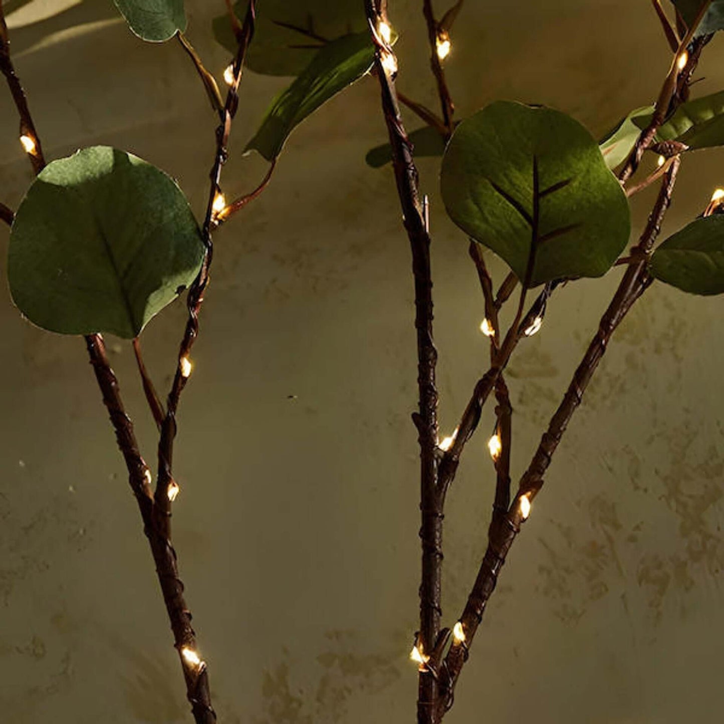 Rama de olivo Luz LED - Luz decorativa